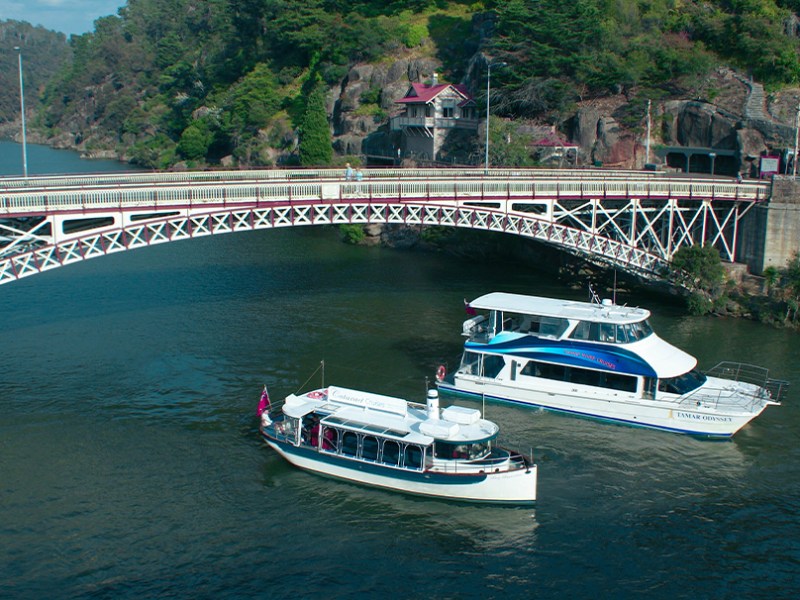 Tasmania – The Perfect Destination for A Family Day Out